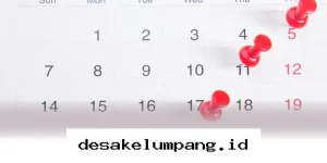 Catat Tanggal Merah Mei 2026, Intip Jadwal Libur Idul Adha dan Cuti Bersama di Sini!