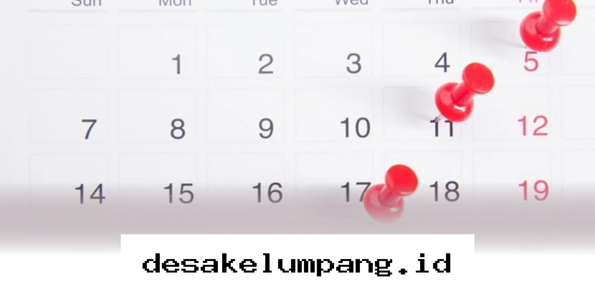 Catat Tanggal Merah Mei 2026, Intip Jadwal Libur Idul Adha dan Cuti Bersama di Sini!